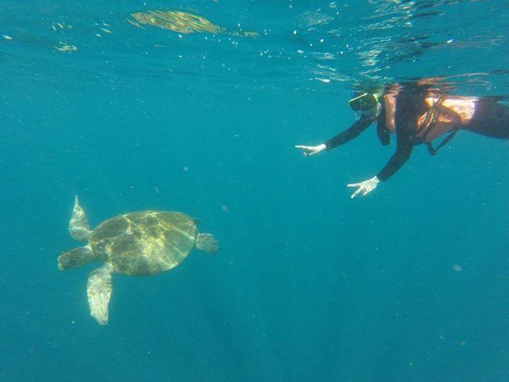 Sipadan Micro Dive Hotel Mabul Island Buitenkant foto